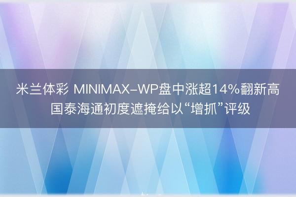 米兰体彩 MINIMAX-WP盘中涨超14%翻新高 国泰海通初度遮掩给以“增抓”评级