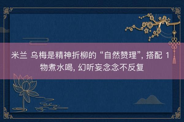 米兰 乌梅是精神折柳的 “自然赞理”, 搭配 1 物煮水喝, 幻听妄念念不反复