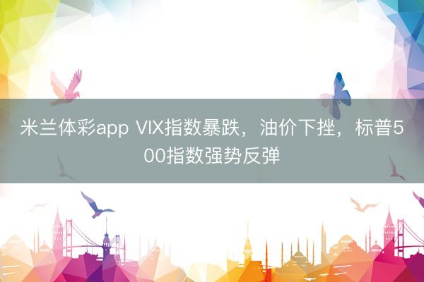 米兰体彩app VIX指数暴跌,油价下挫,标普500指数强势反弹