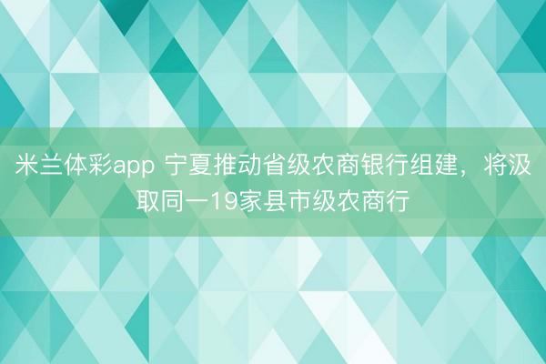 米兰体彩app 宁夏推动省级农商银行组建，将汲取同一19家县市级农商行